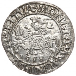 Sigismund II. Augustus, Halbergroschen 1558, Wilna - L/LITVA