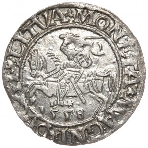 Sigismund II Augustus, Half-penny 1558, Vilnius - L/LITVA