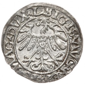 Sigismund II. Augustus, Halbergroschen 1558, Wilna - L/LITVA