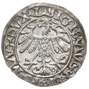 Žigmund II August, polgroš 1558, Vilnius - L/LITVA