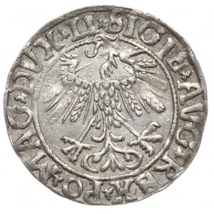 Zygmunt II August, Półgrosz 1558, Wilno - L/LITVA