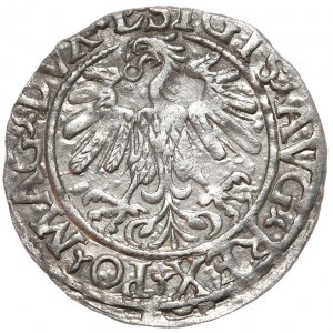 Sigismund II Augustus, Half-penny 1559, Vilnius - L/LITV