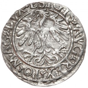 Zikmund II August, půlpenny 1559, Vilnius - L/LITV