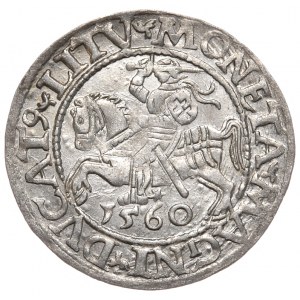 Sigismund II. Augustus, Halbpfennig 1560, Wilna - LI/LITV