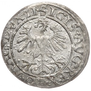 Zygmunt II August, Półgrosz 1560, Wilno - LI/LITV