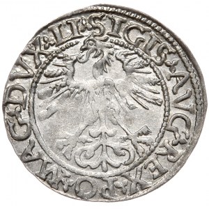 Sigismund II. Augustus, Halbergroschen 1562, Wilna - LI/LITVA