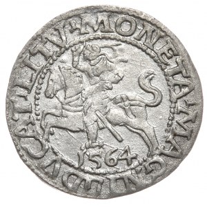 Sigismund II. Augustus, Halbpfennig 1564, Wilna - L/LITV