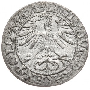 Žigmund II August, polgroš 1564, Vilnius - L/LITV