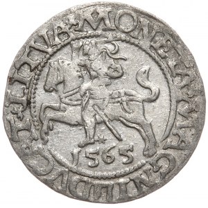Sigismund II Augustus, Half-penny 1565, Vilnius - L/LITVA