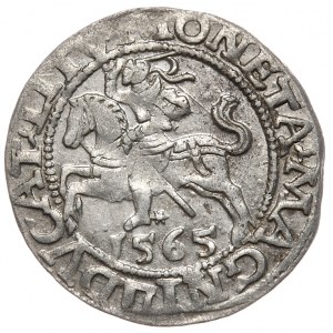 Sigismund II Augustus, Half-penny 1565, Vilnius - L/LITV