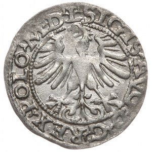 Zygmunt II August, Półgrosz 1565, Wilno - L/LITV