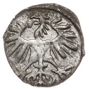 Sigismund II Augustus, denarius 1554, Vilnius