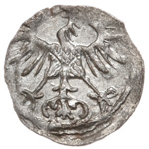 Zikmund II Augustus, denár 1555, Vilnius