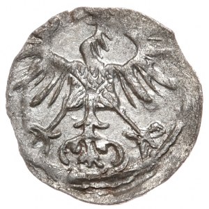 Sigismund II Augustus, denarius 1555, Vilnius