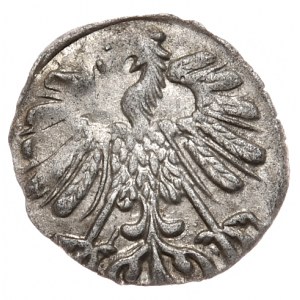 Sigismund II Augustus, denarius 1558, Vilnius