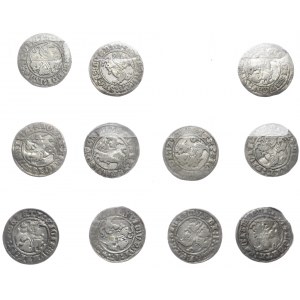 Sigismund I the Old, Vilnius half-pennies from 1510 -1514 - set of 11 pieces