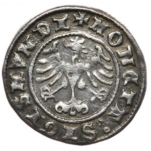 Sigismund I the Old, half-penny 1508, Cracow
