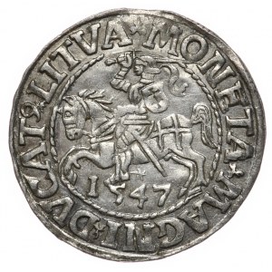 Sigismund II. Augustus, halber Pfennig 1547, Vilnius, LI/LITVA
