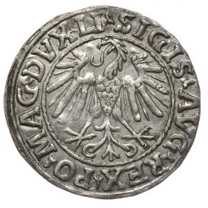 Sigismund II Augustus, half-penny 1547, Vilnius, LI/LITVA