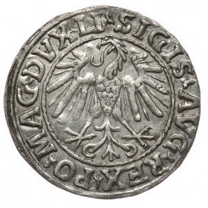Sigismund II. Augustus, halber Pfennig 1547, Vilnius, LI/LITVA