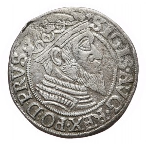 Sigismund II Augustus, 1557 penny, Gdansk, R4