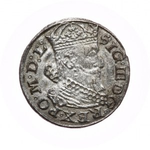Žigmund III Vasa, Vilnius penny 1626 - chyba 1262