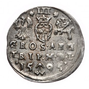 Sigismund III. Vasa, Troika 1595, Vilnius