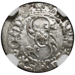 Zygmunt III Waza, szeląg 1618, Ryga, menniczy