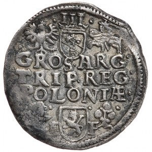 Sigismund III Vasa, Trojak Wschowa 1596