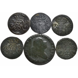 August III of Saxony, Shells, Gdansk, Torun, Elblag, South Prussia penny - a total of 6 pieces.