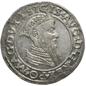 Sigismund II Augustus, quadrangle 1565, Vilnius, L/LITV