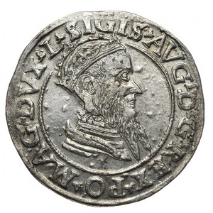 Sigismund II Augustus, quadrangle 1569, Vilnius, L/LITVA