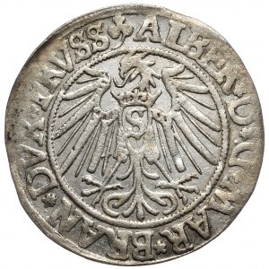 Kniežacie Prusko, Albrecht Hohenzollern, penny 1540, Königsberg