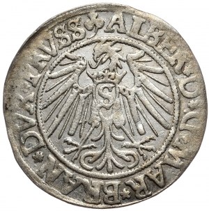 Prusy Książęce, Albrecht Hohenzollern, grosz 1540, Królewiec
