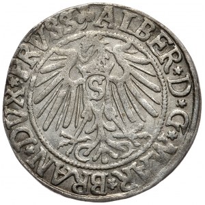 Kniežacie Prusko, Albrecht Hohenzollern, penny 1542, Königsberg