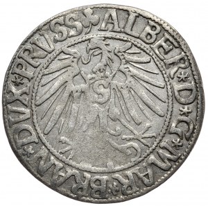 Herzogliches Preußen, Albrecht Hohenzollern, Pfennig 1543, Königsberg