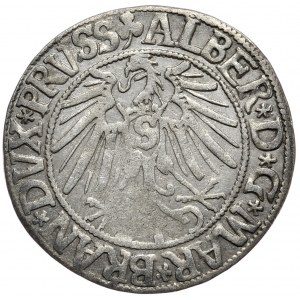 Kniežacie Prusko, Albrecht Hohenzollern, penny 1543, Königsberg