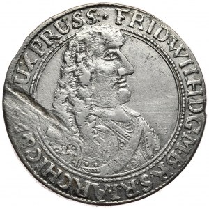 Prusko (vévodství), Fridrich Vilém, ort 1662, Königsberg, vzácné