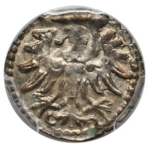 Sigismund II Augustus, denarius 1554, Gdańsk