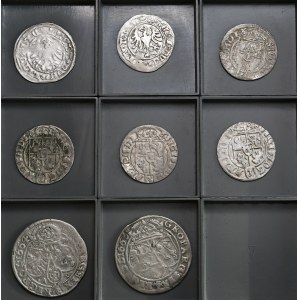 Set of 8, Lithuanian halfpence, halfpence of Sigismund III, sixpence of John Casimir