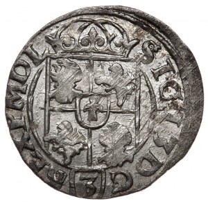 Sigismund III Vasa, halftone 1616, Bydgoszcz, Avdaniec coat of arms in a simple shield