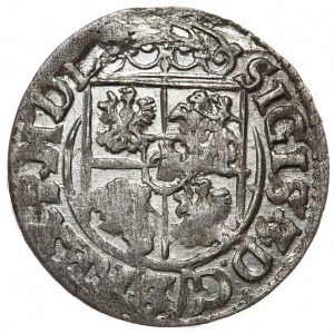 Sigismund III Vasa, half-track 1619, Bydgoszcz