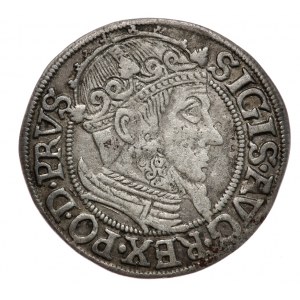Zygmunt II August, Grosz 1557, Gdańsk
