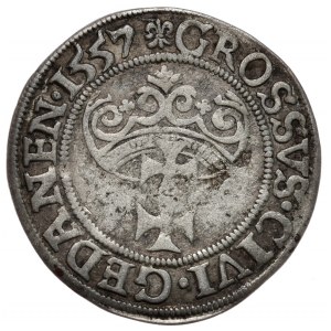 Sigismund II Augustus, A penny 1557, Gdańsk