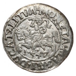 Sigismund II Augustus, halber Pfennig 1547, Vilnius, LI/LITVA, Pogo von 1546 Jahrgang