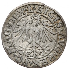 Zygmunt II August, półgrosz 1548, Wilno, L/LITVA, rzymska jedynka w dacie
