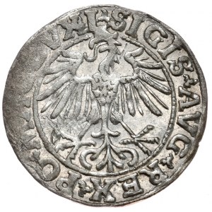 Sigismund II Augustus, halber Pfennig 1550, Vilnius, L/LITVA