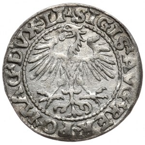 Zikmund II August, půlpenny 1553, Vilnius, LI/LITVA, vzácný ročník