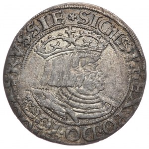 Sigismund I. der Alte, Pfennig 1528, Toruń, unbeschrieben PRVSSIE/PRVSS