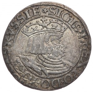 Sigismund I the Old, penny 1528, Torun, undescribed PRVSSIE/PRVSS